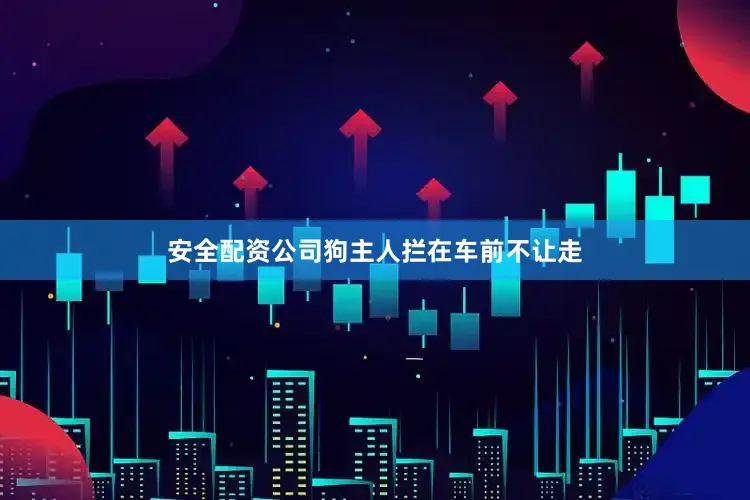 安全配资公司狗主人拦在车前不让走