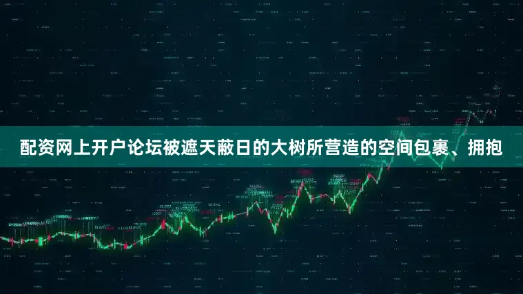 配资网上开户论坛被遮天蔽日的大树所营造的空间包裹、拥抱