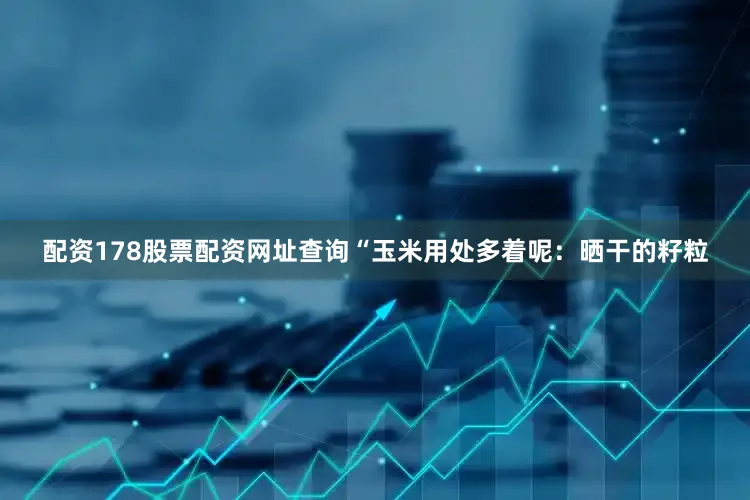 配资178股票配资网址查询“玉米用处多着呢：晒干的籽粒